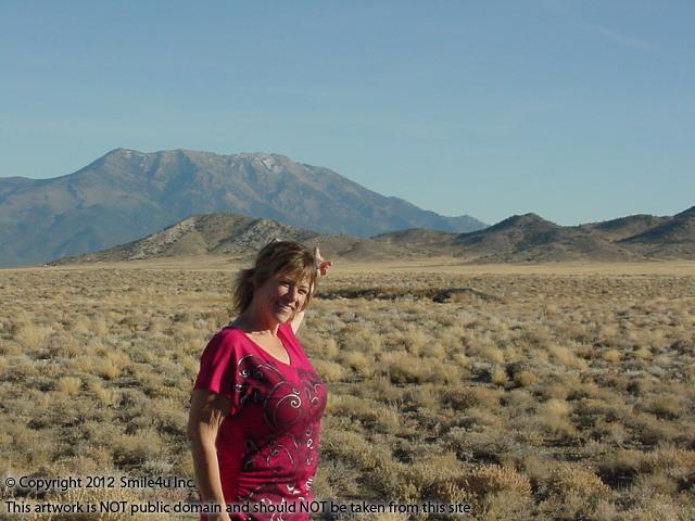 Char the Explorer and Pilot Peak. The mountain is so pretty and majestic, located in Elko County, NE Nevada. This land for sale has terrific views of it and there is power close! 